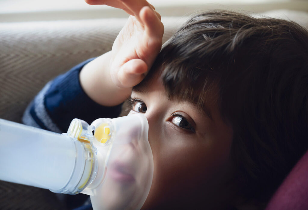 Moho negro impacto en la salud