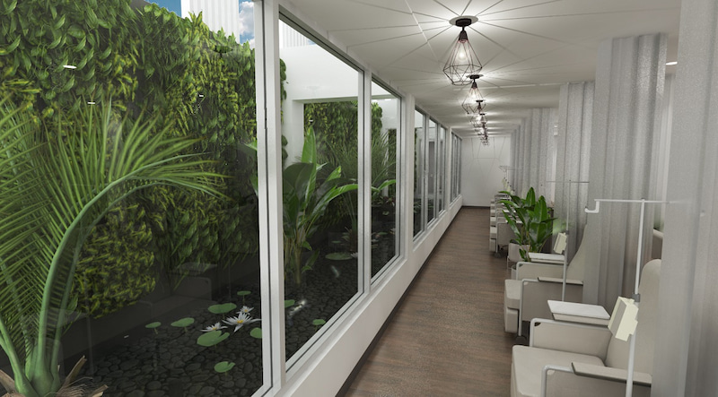 Sanar, revitalizar y reconectar a la ciudad con la naturaleza